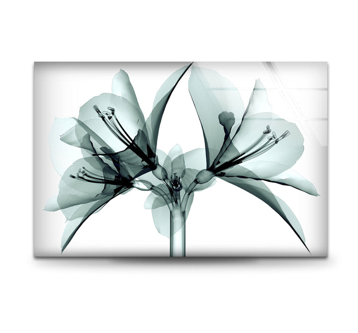 xray Flower Tempered Glass Wall Art - MyPhotoStation Decorate your living room with stunning Glass Wall Art. Our collection includes tempered glass wall art, large glass artwork, and modern designs. Perfect for adding color and style to any space. Enjoy secure packaging, free shipping, and vibrant prints that last.