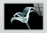 Xray Flowers Tempered Glass Wall Art