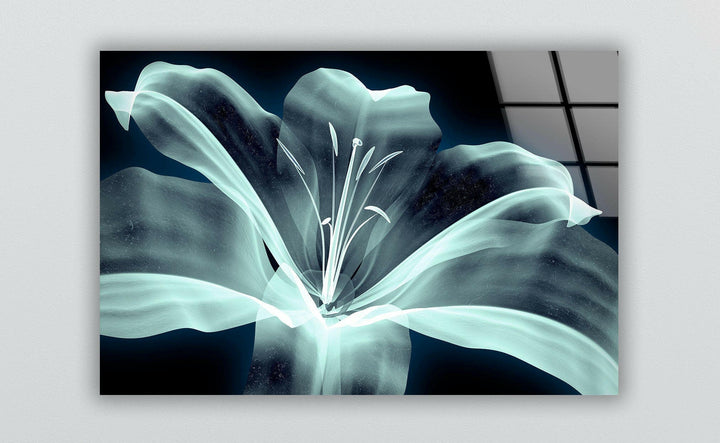 Xray Image Of a Flower Glass Wall Art, art glass wall art, glass wall art pictures