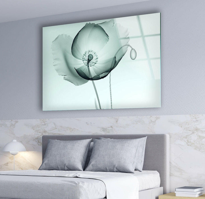 X-ray Image Of A Poppy Glass Wall Art, Glass Printing Wall Art, Print photos on glass