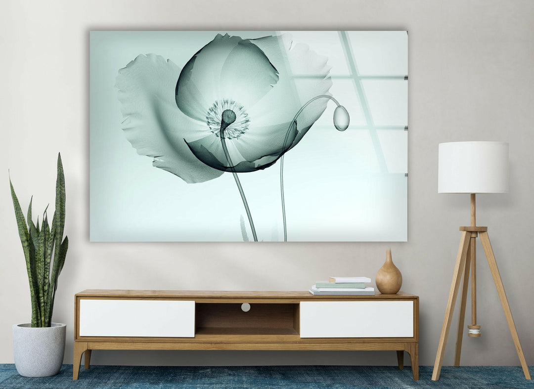 X-ray Image Of A Poppy Glass Wall Art, glass image printing, glass prints from photos