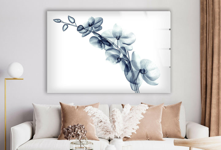 X-ray Blue Orchide Glass Wall Art, glass photo prints, glass picture prints