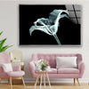 Xray Flowers Tempered Glass Wall Art