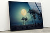 Palm Tree Tropical Tempered Glass Wall Art