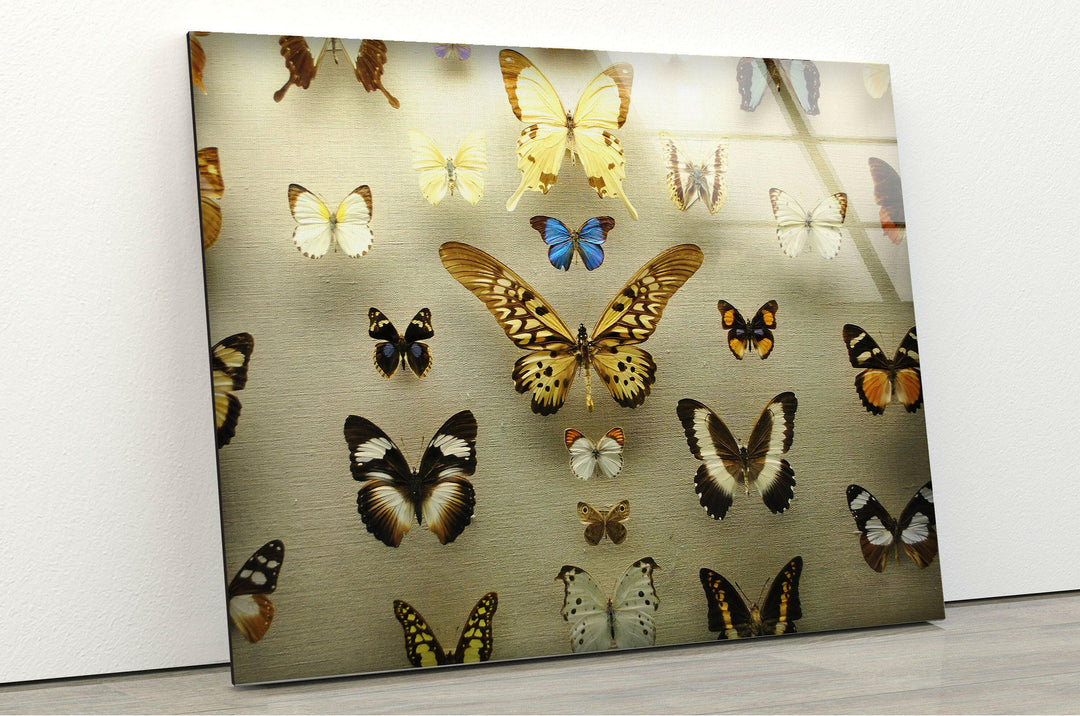 Butterfly Collection Glass Wall Art stained glass wall art, stained glass wall decor