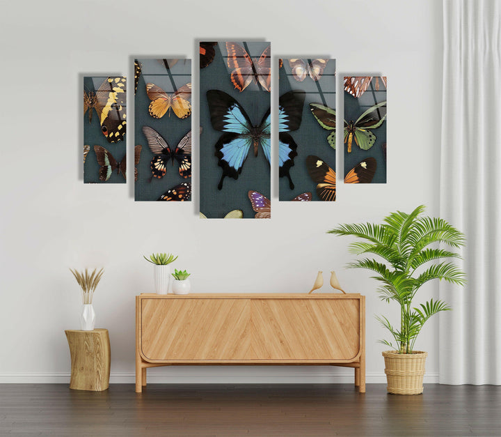 Various Butterflies Glass Wall Art, glass pictures for Wall, glass prints wall art