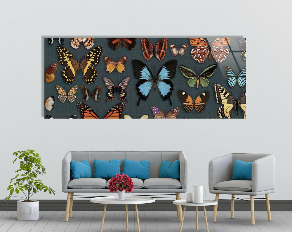 Various Butterflies Glass Wall Art, art glass wall art, glass wall art pictures