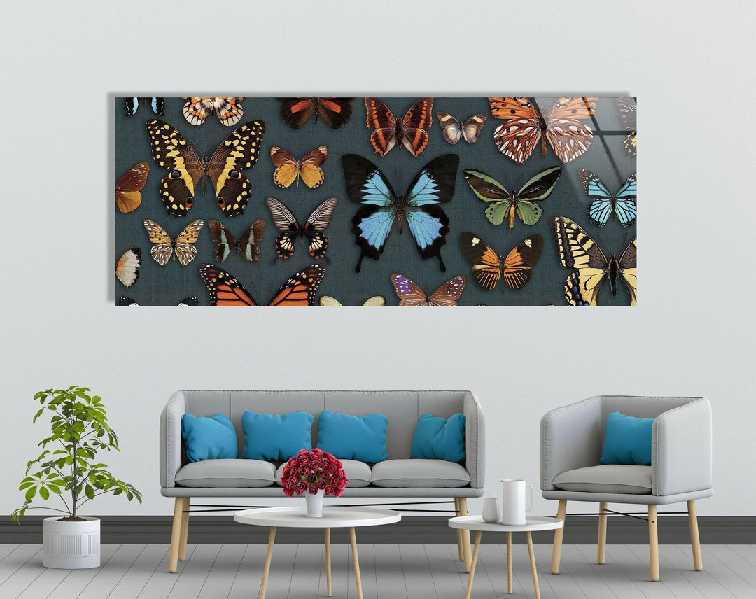 Various Butterflies Glass Wall Art, art glass wall art, glass wall art pictures