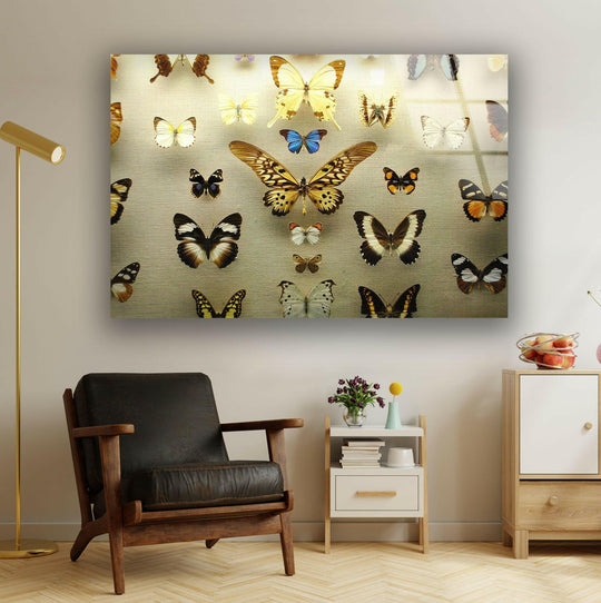 Framed butterfly collection glass print wall art showcases symmetrical, geometric arrangements of winged insects in varied patterns.