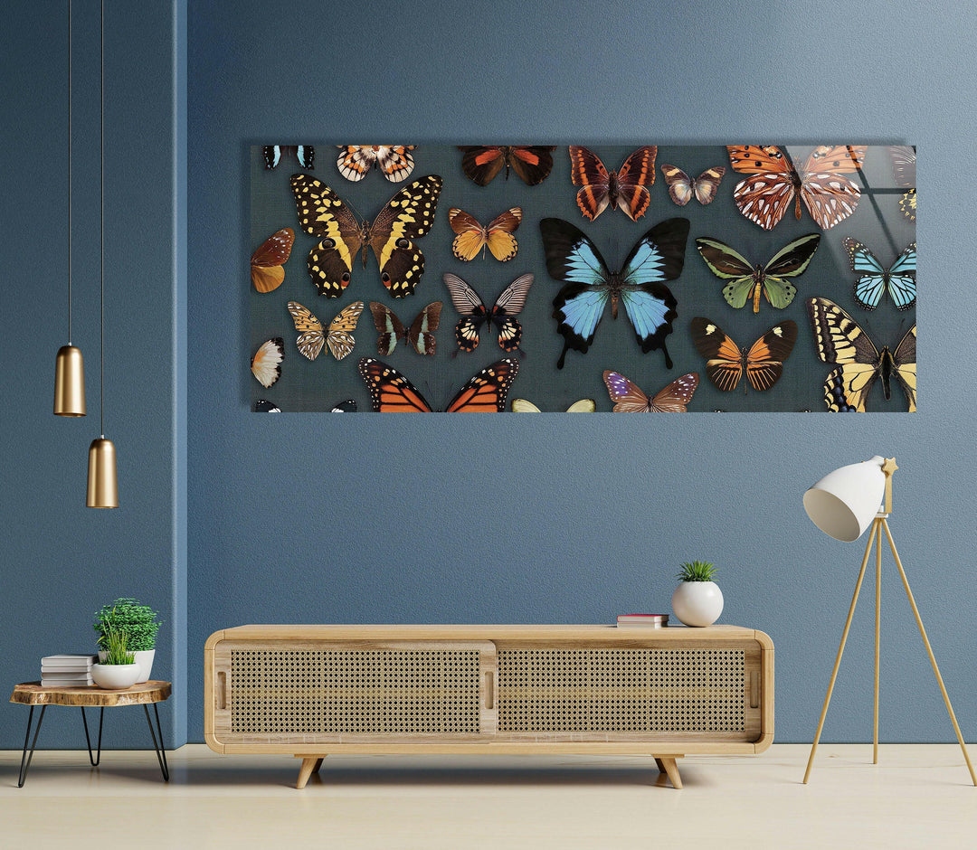 Various Butterflies Glass Wall Art, Glass Printing Wall Art, Print photos on glass