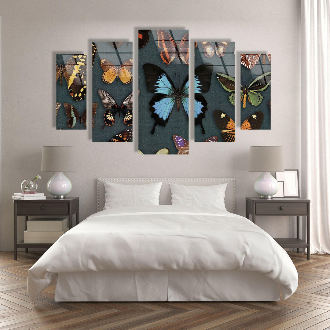 Various Butterflies Glass Wall Art, photo print on glass, prints on glass wall art