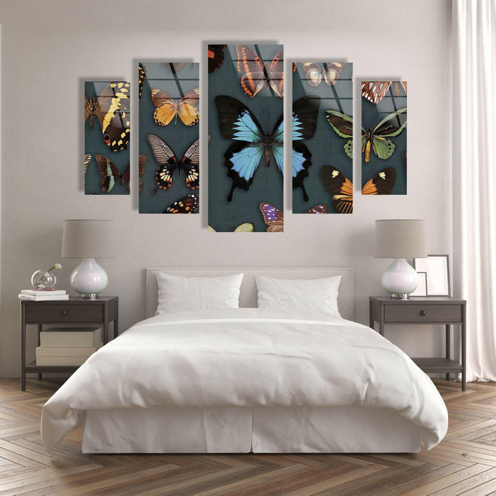 Various Butterflies Glass Wall Art, photo print on glass, prints on glass wall art