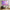 Pink Sky Tempered Glass Wall Art