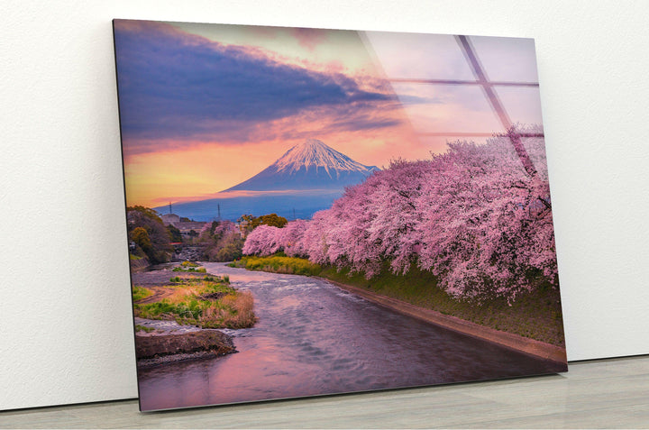 Cherry Blossom Season in Japan – A Vibrant Landscape Glass Print

