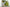 Green Naturel Botanical Tempered Glass Wall Art