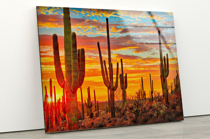Stunning landscape photos for sale capturing the beauty of natural vistas and serene environments
