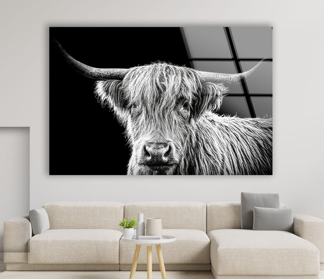 Highland Scottish Cow Tempered Glass Wall Art