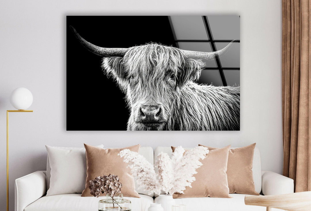 Highland Scottish Cow Glass Wall Art custom glass pictures, glass art prints