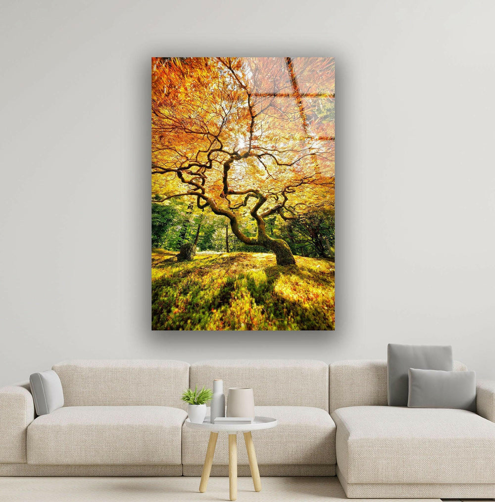 Breathtaking fall landscape featuring a sunlit tree with golden leaves on tempered glass.
