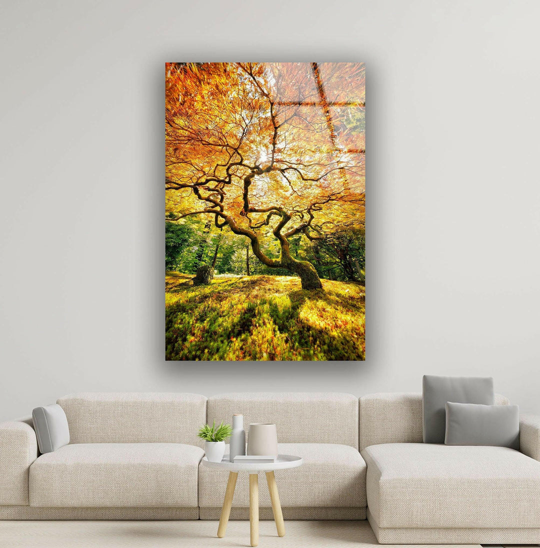 Breathtaking fall landscape featuring a sunlit tree with golden leaves on tempered glass.
