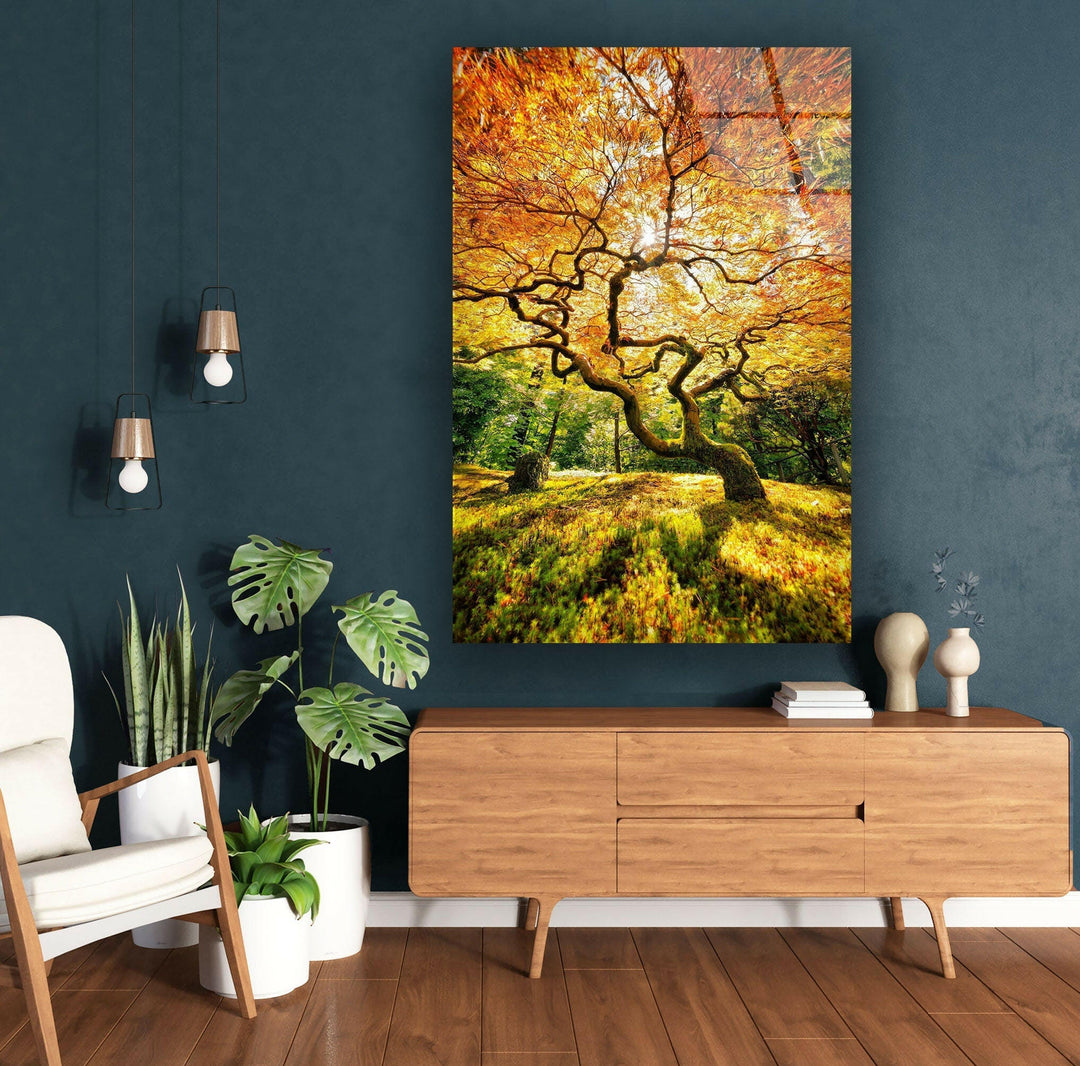 Vibrant autumn scenery with warm sunlight filtering through golden leaves.

