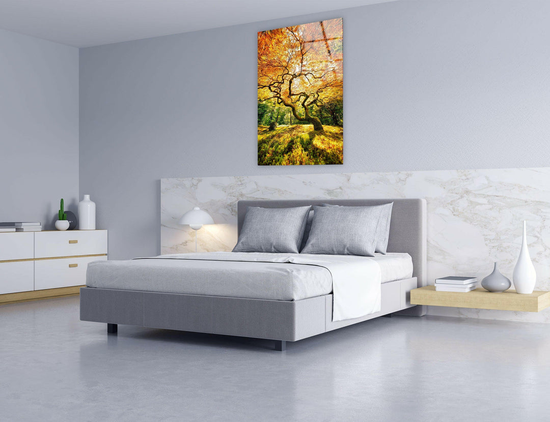 Luxury glass wall art featuring a twisted tree bathed in golden fall sunlight.
