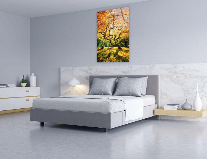 Luxury glass wall art featuring a twisted tree bathed in golden fall sunlight.
