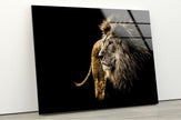 Wild Animal Lion Tempered Glass Wall Art