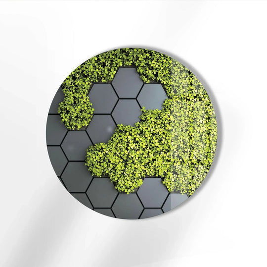 Showcasing the layering effect, this stained round glass wall art presents a captivating blend of moss panels with gray hexagons as hanging wall art.