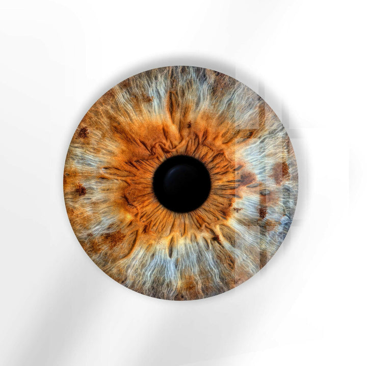 Brown Eye Round Glass Wall Art Glass Printing Wall Art, Print photos on glass
