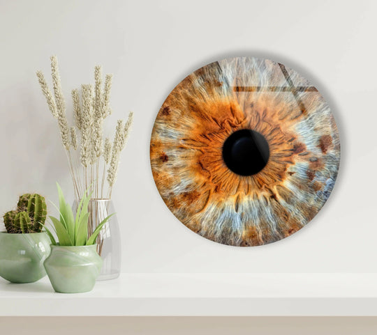 The organic forms in this brown eye round, tempered glass wall art showcase swirling patterns that create a mesmerizing visual display.