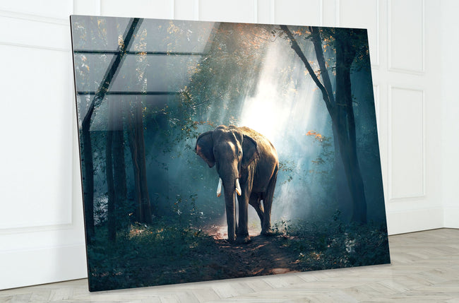 Elephant Tempered Glass Wall Art