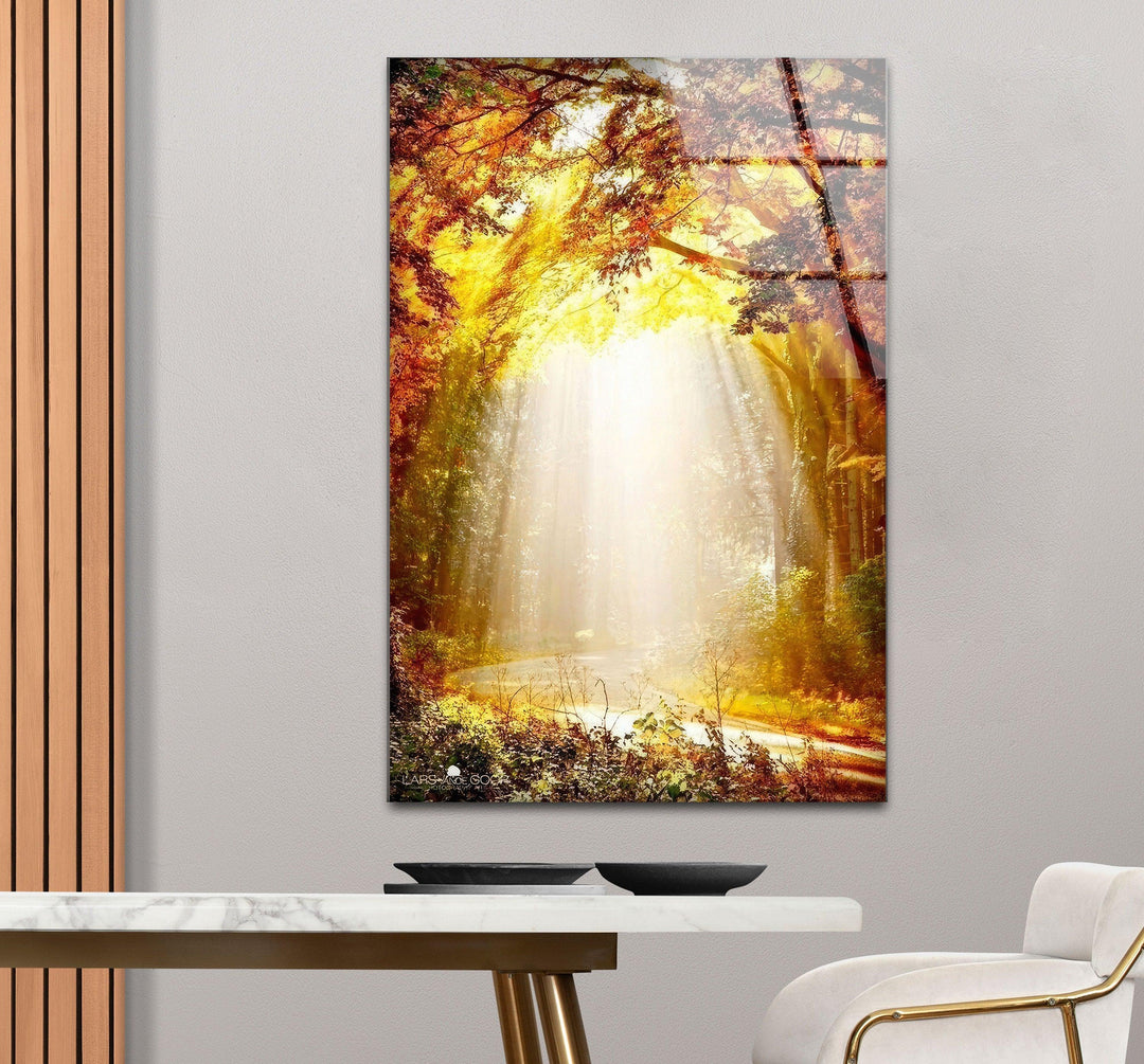 Modern Glass Photo Prints for Walls