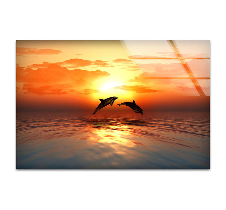 Tranquil ocean sunset reflecting on calm waters, with playful dolphins.
