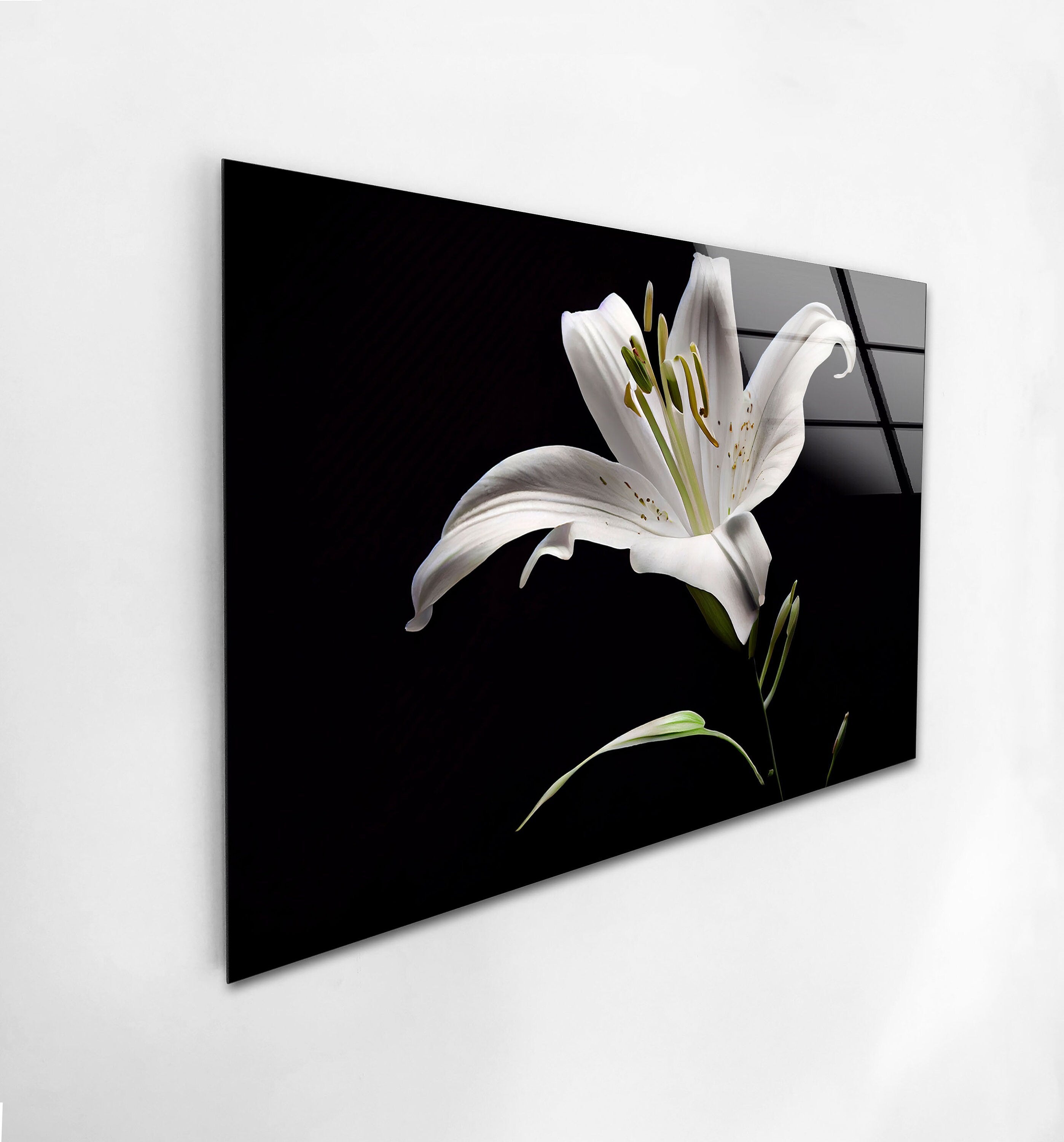 a picture of a white flower on a wall
