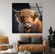 a cow with long hair standing in a living room