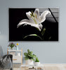 a picture of a white lily in a living room