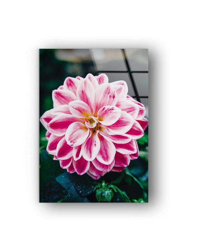 Vivid Pink Flower Glass Wall Art, custom glass photo prints, large glass prints