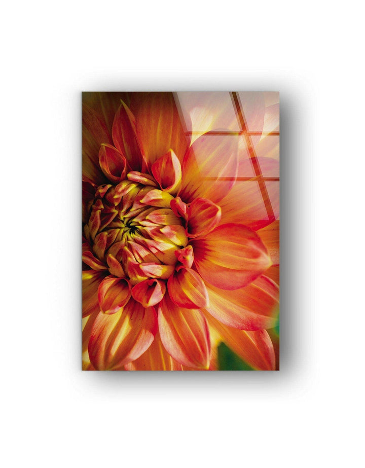 Closeup Vivid Red Flower Glass Wall Art, glass art painting, glass art for the Wall