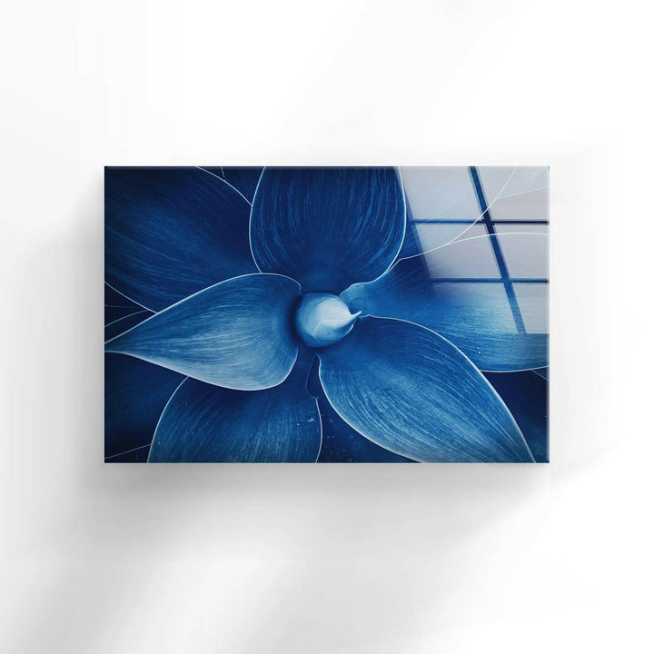 Blue Agave Closeup Glass Wall Art, custom glass photo prints, large glass prints