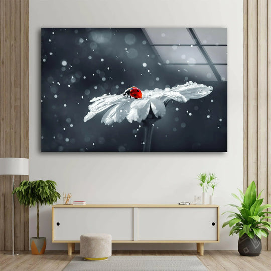 A vibrant red ladybug rests on a dew-kissed daisy, creating unique modern wall decor on durable, high-quality glass.