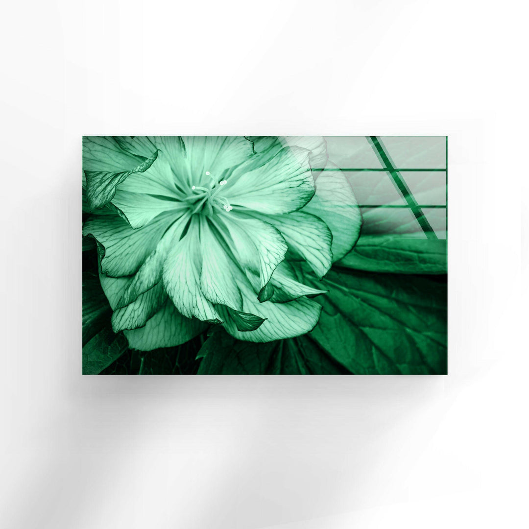 Mint Green Flower Petals Glass Wall Art, custom glass photo prints, large glass prints