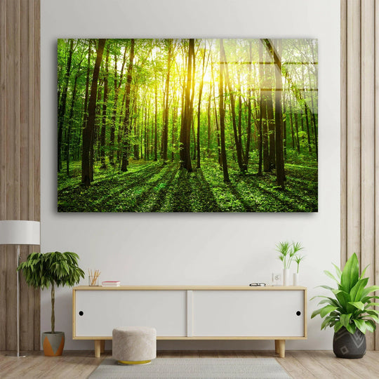 The horizontal Sunshine Forest Landscape glass wall art shows trees and bright sun and is forest artwork and glass art and landscape decor and natural light art on a white wall