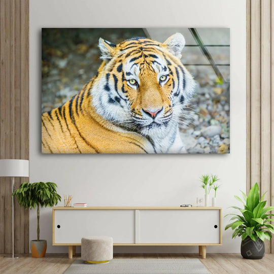 Siberian Tiger Glass Wall Art             glass wall decor, glass wall art decor