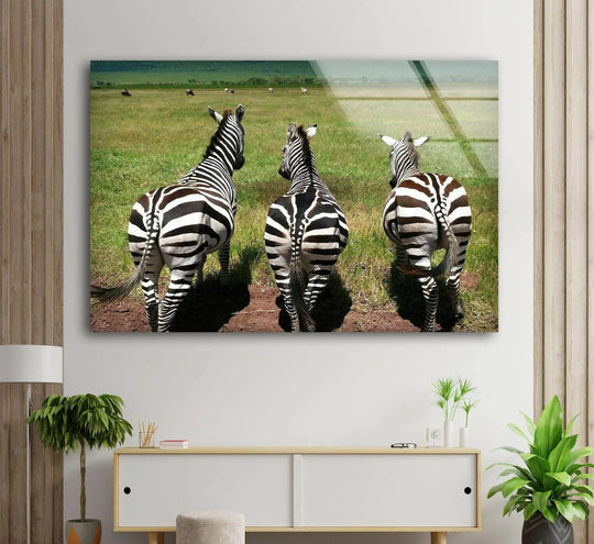 A stunning piece of decorative wall art showcasing three zebras with a glossy finish on a safari landscape.