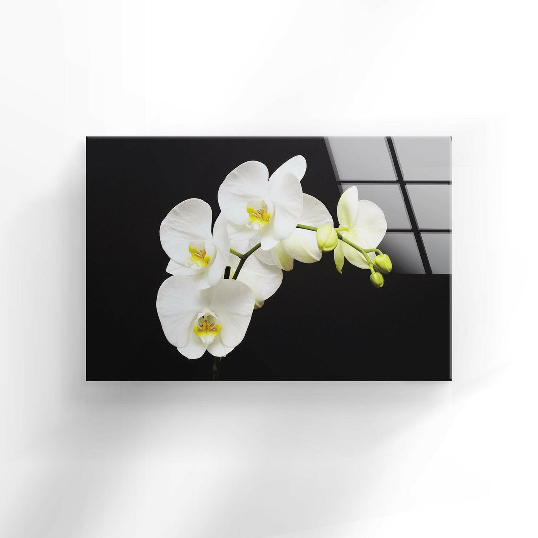 White Orchid Glass Wall Art,custom glass photo prints, large glass prints