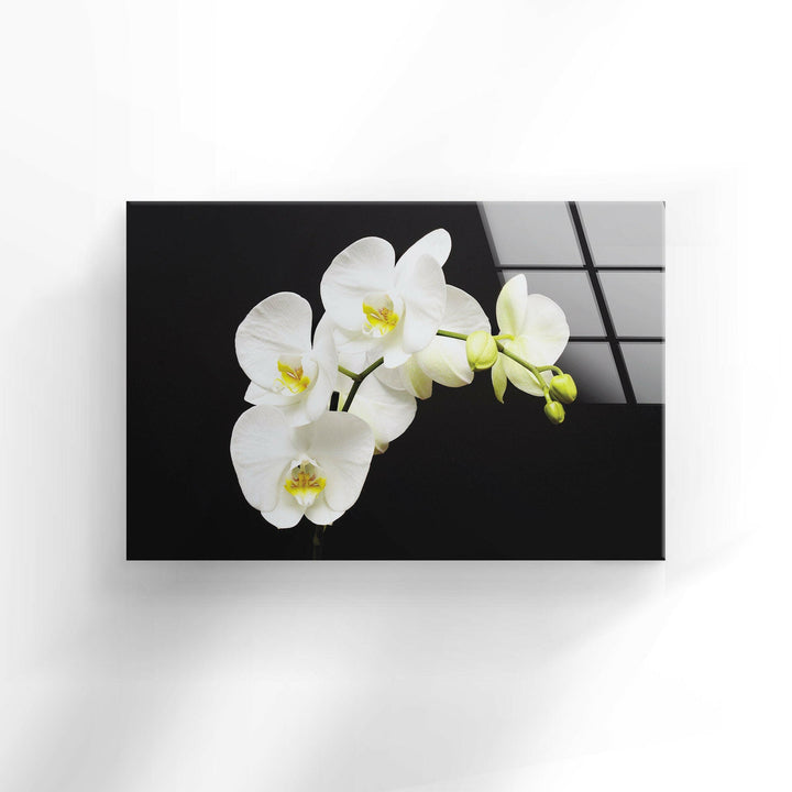 White Orchid Glass Wall Art,custom glass photo prints, large glass prints