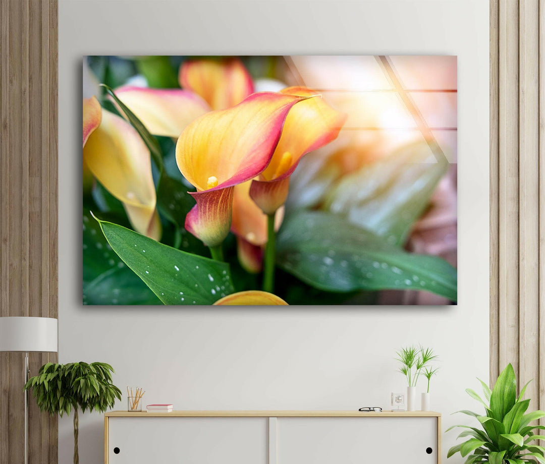 Colorful Calla Lilies Glass Wall Art, stained glass wall art, stained glass wall decor
