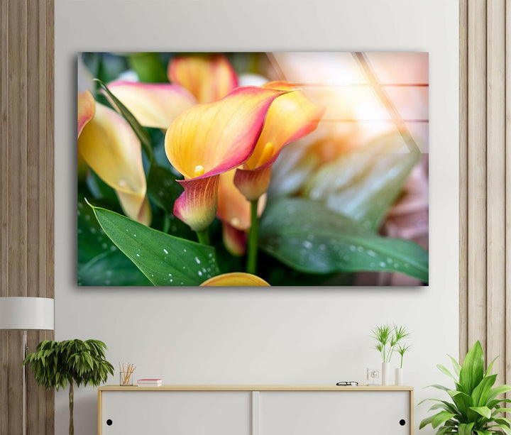 Colorful Calla Lilies Glass Wall Art, stained glass wall art, stained glass wall decor