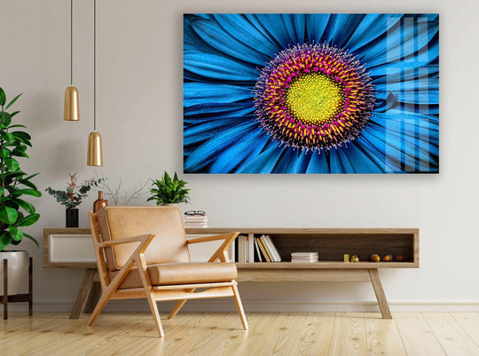 Close-up gerbera flower glass wall art featuring the softest blue petals and vibrant yellow and pink center.